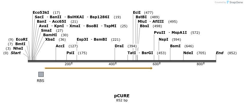 43781_map