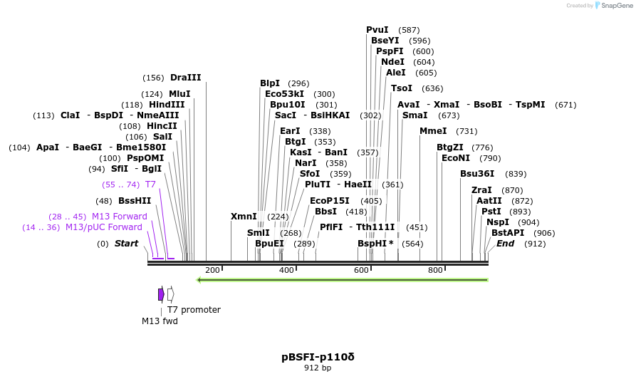 43790_map