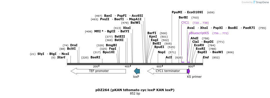 43791_map