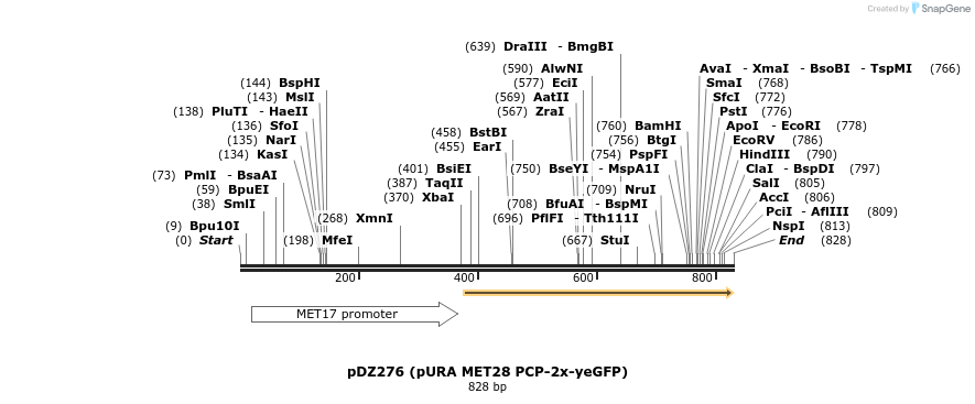 43792_map