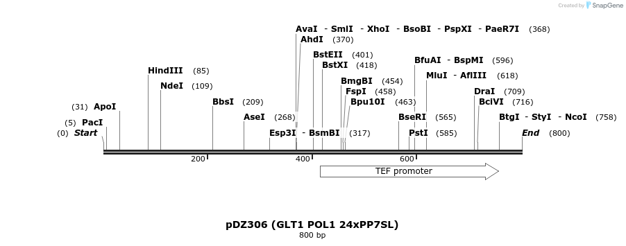 43794_map