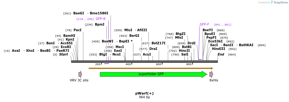 43796_map