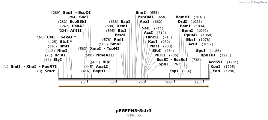 43797_map