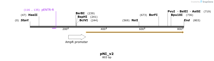 43799_map