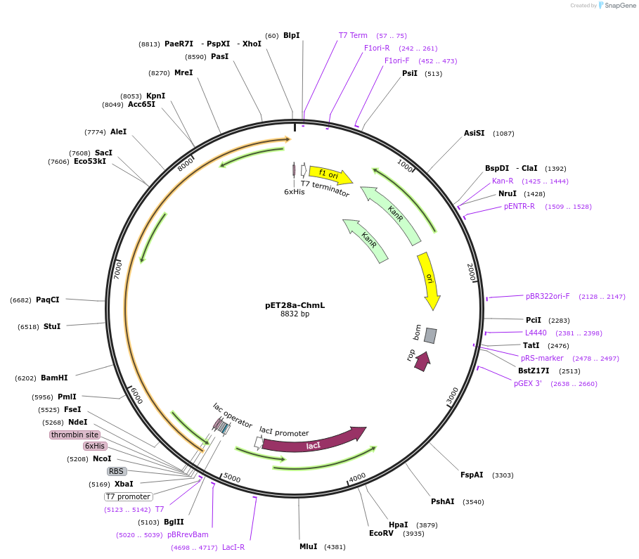 438172_map