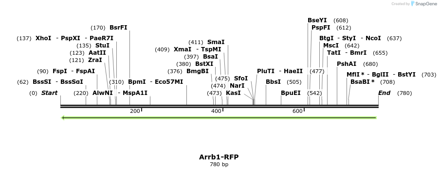 43819_map