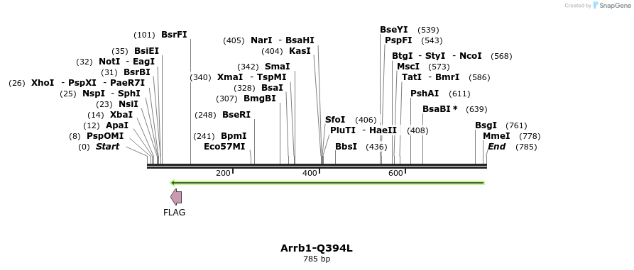 43820_map
