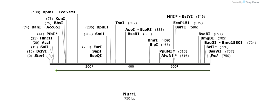 43821_map