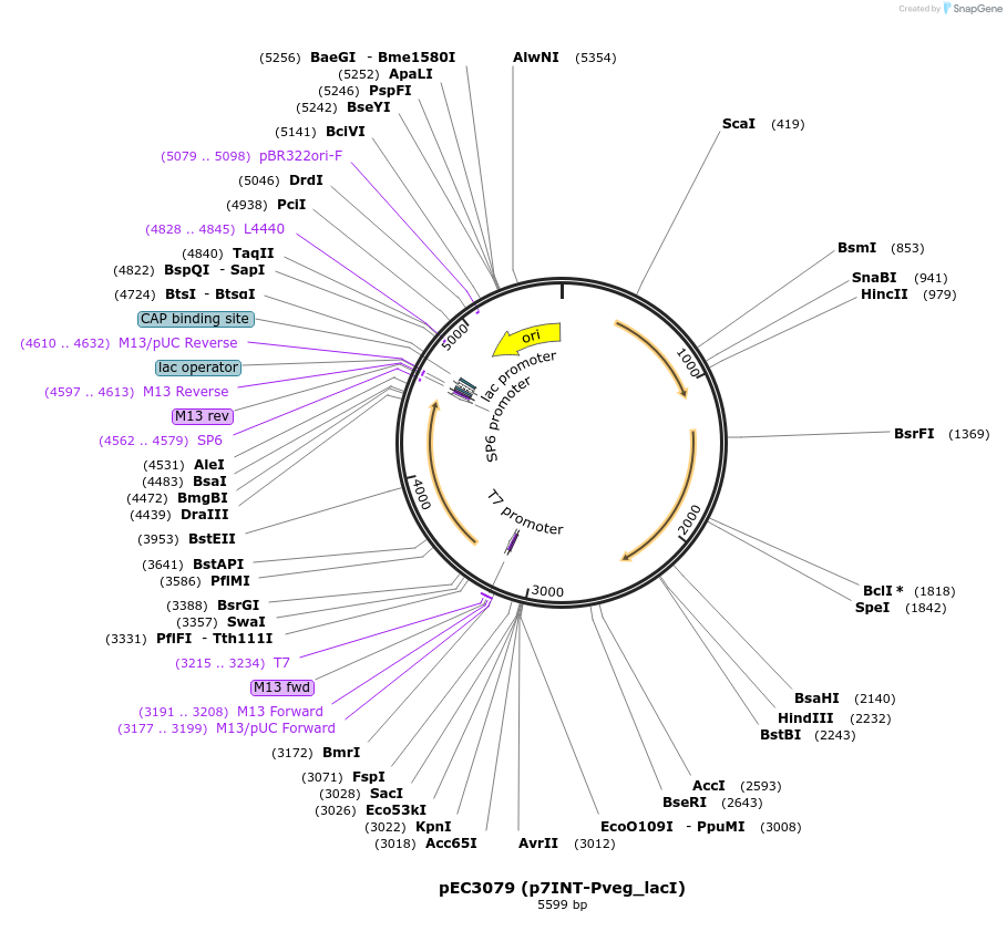 438731_map