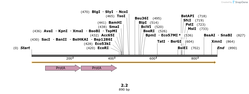 43875_map
