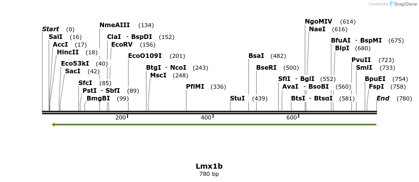 43877_map