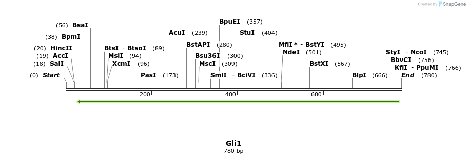 43878_map