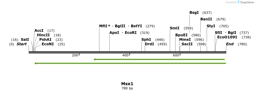 43879_map