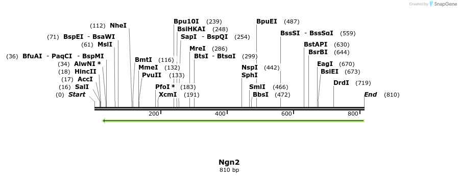 43880_map