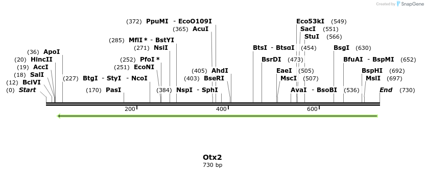 43881_map