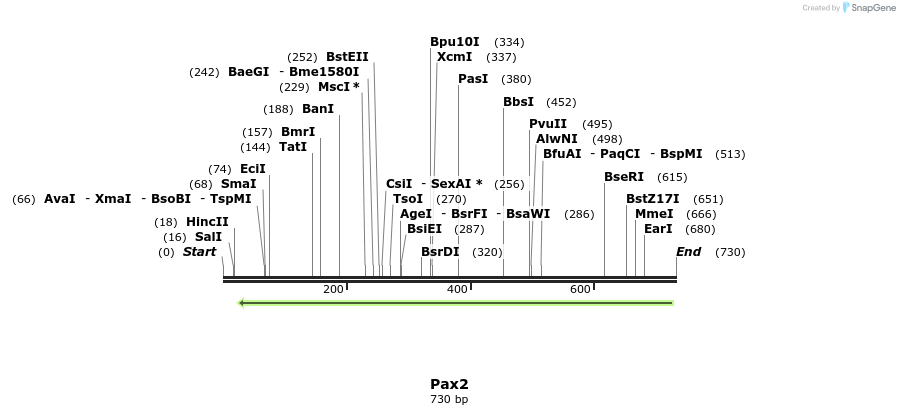 43882_map