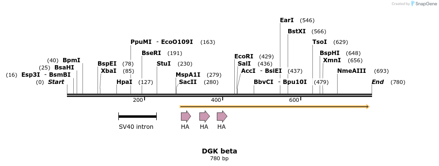 43886_map