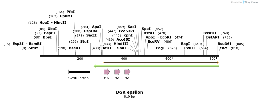 43888_map