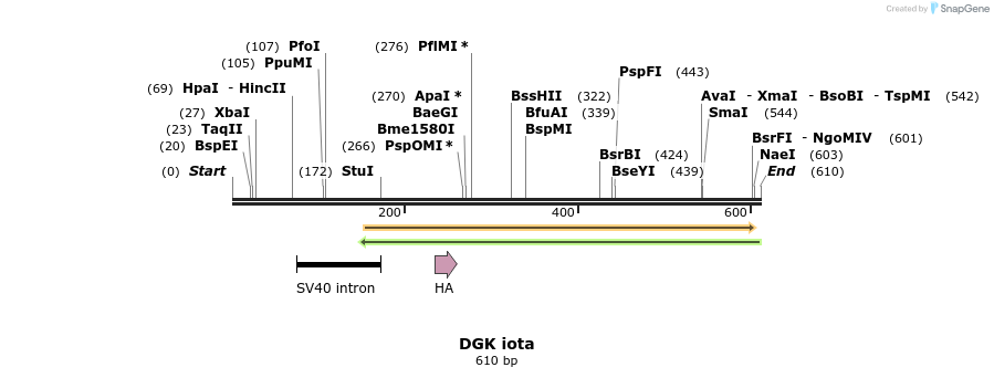 43890_map