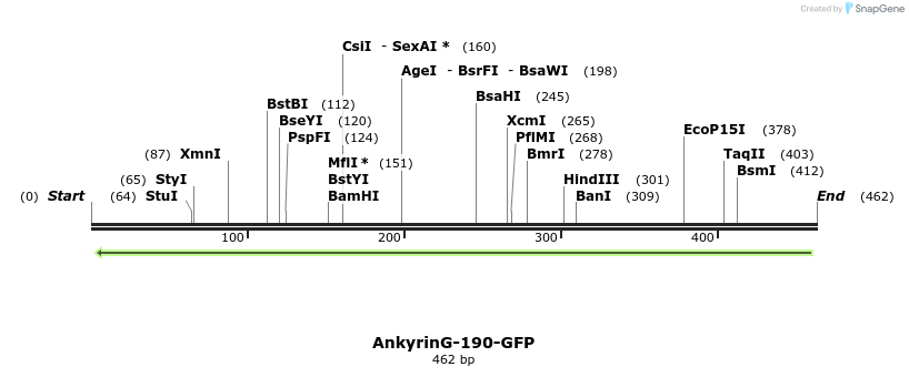 43896_map
