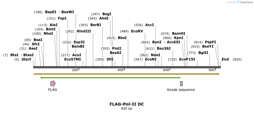 43898_map
