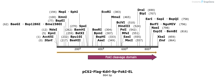 43901_map