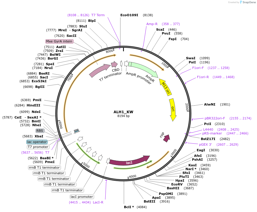 439027_map
