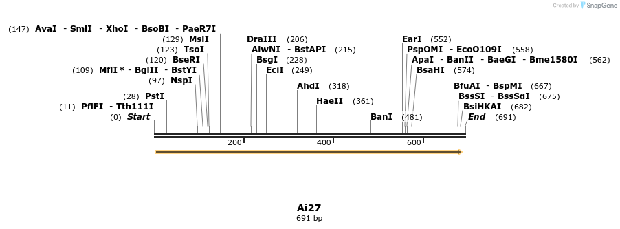 43909_map