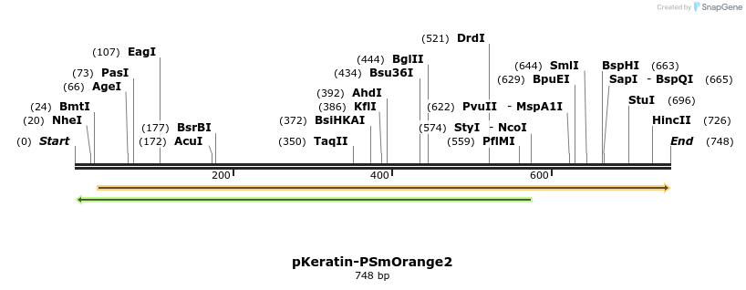 43910_map