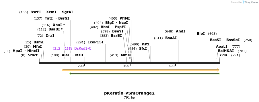 43911_map