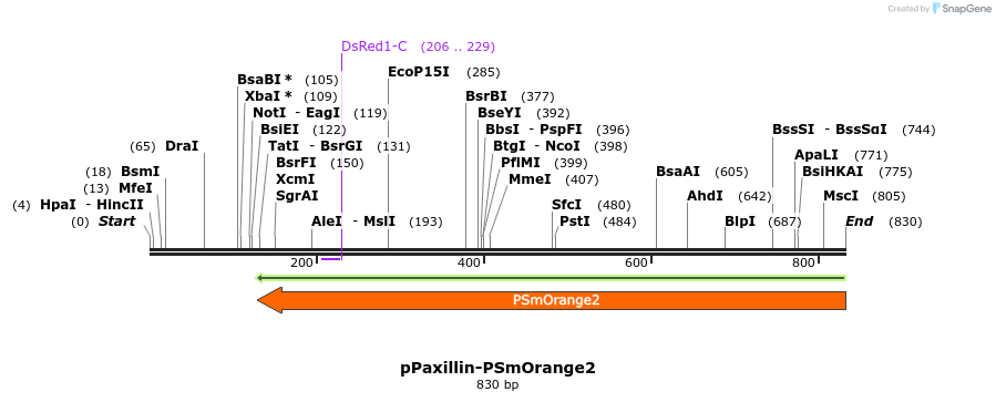 43914_map