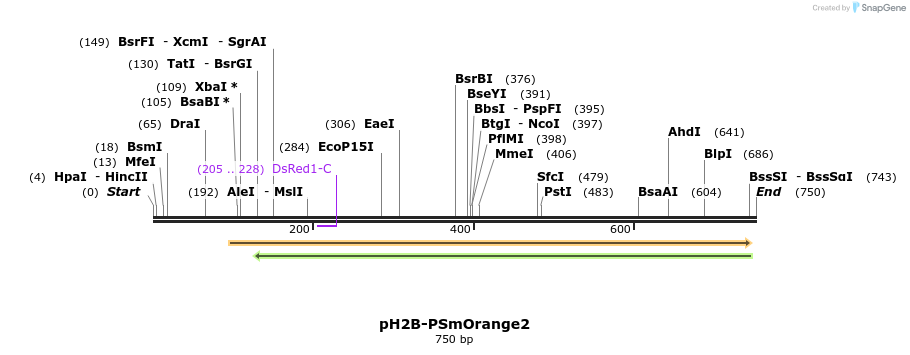 43916_map