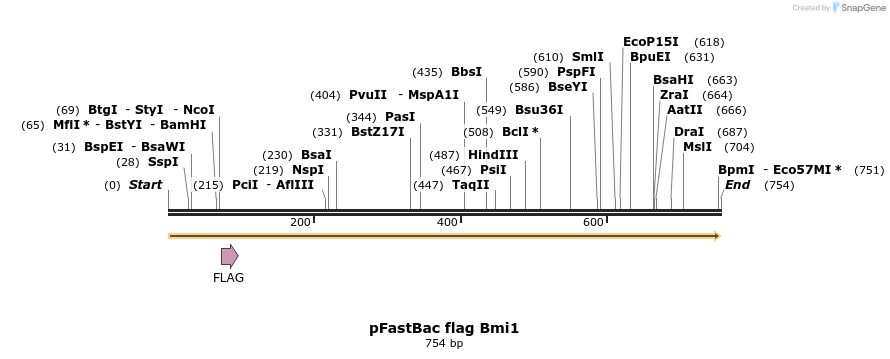 43917_map