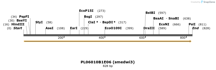43918_map