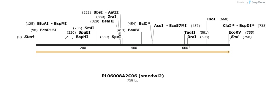 43919_map