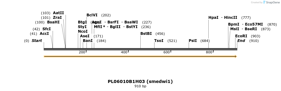 43921_map