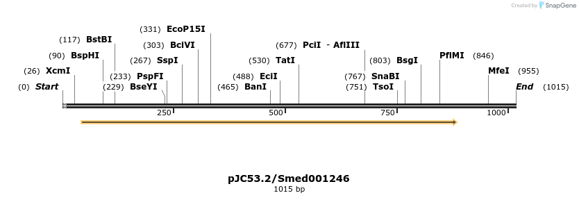 43923_map