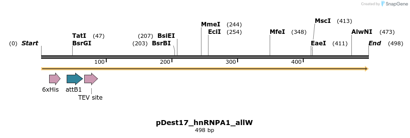 439233_map