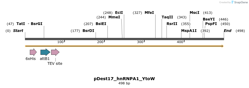 439234_map