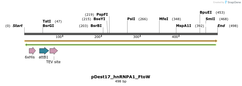 439235_map