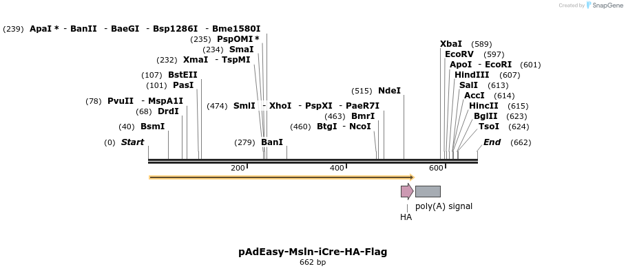 43927_map