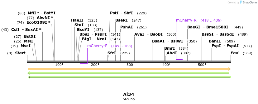 43931_map