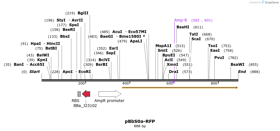 43945_map