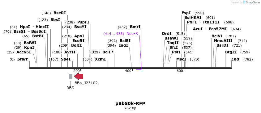 43950_map