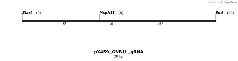 439508_map