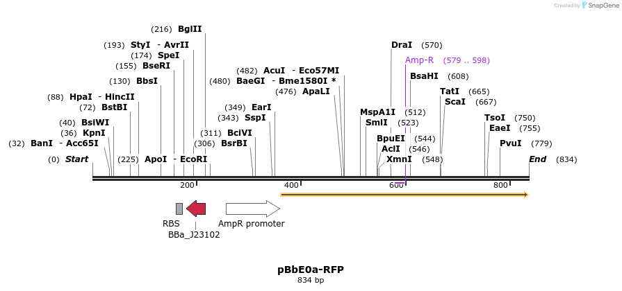 43954_map
