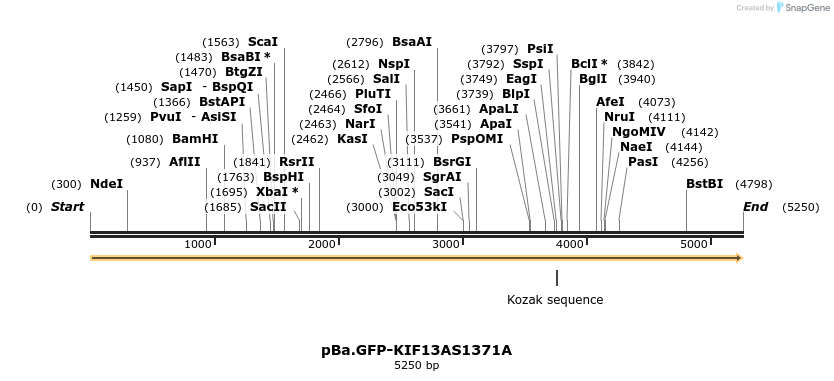 439547_map