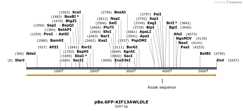 439548_map
