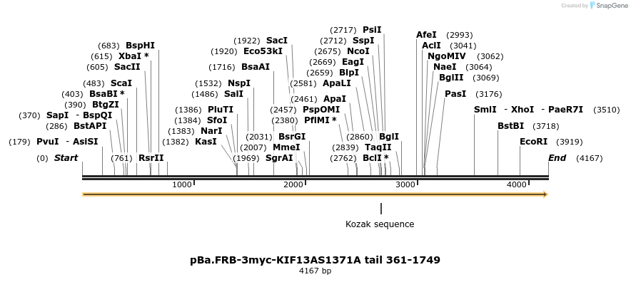 439549_map