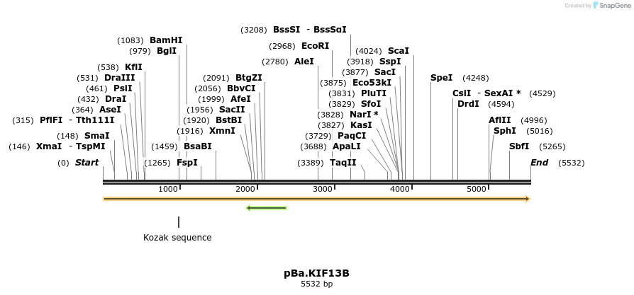 439551_map
